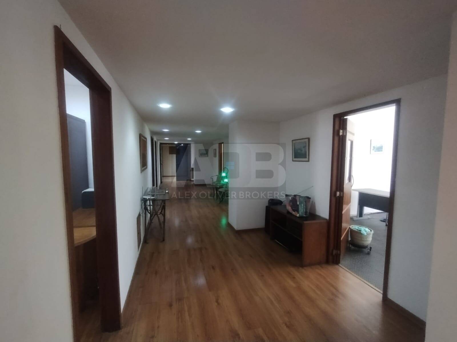 Sala-Conjunto, 290 m² - Foto 7