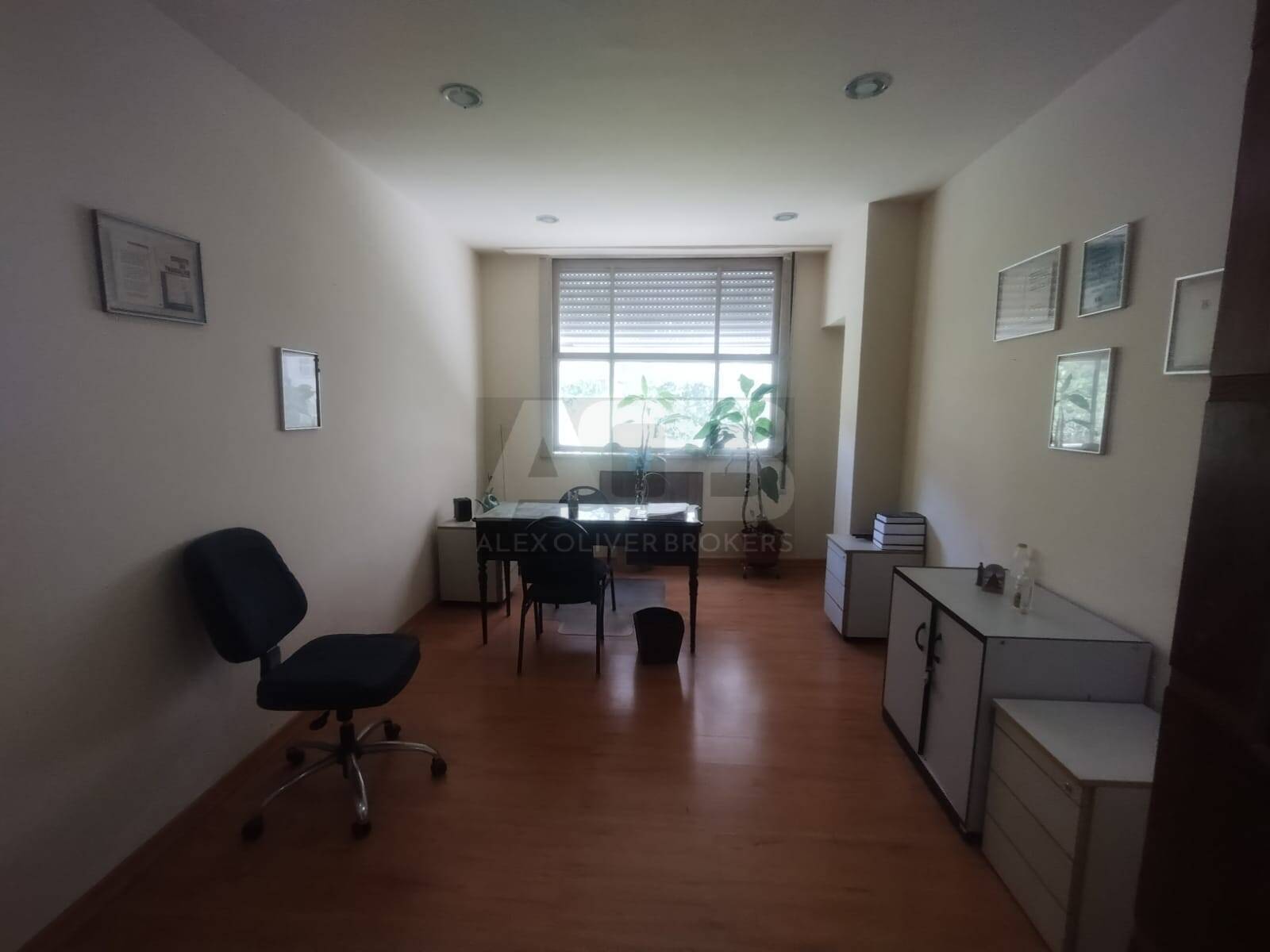 Sala-Conjunto, 290 m² - Foto 10