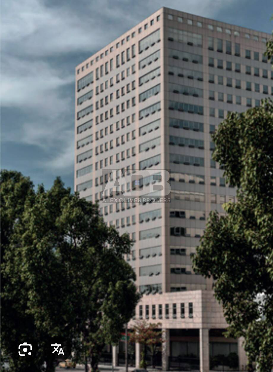 Prédio Inteiro, 20000 m² - Foto 7
